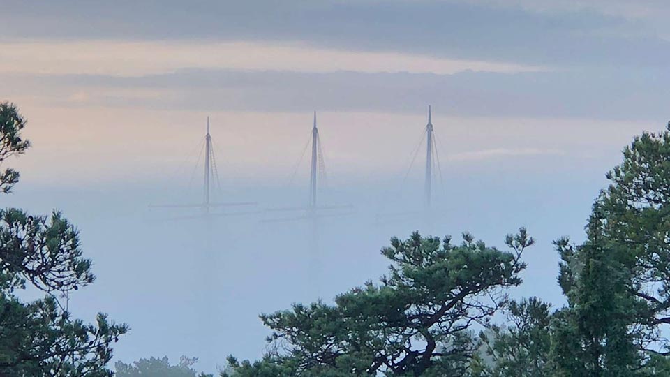 Framtidens arbetsmarknad och grön omställning