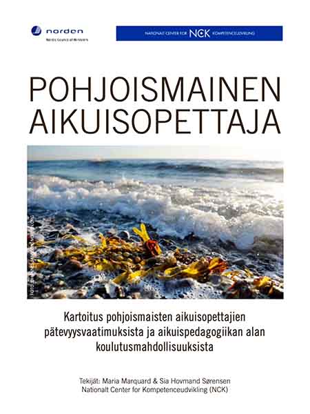 Pohjoismainen aikuisopettaja