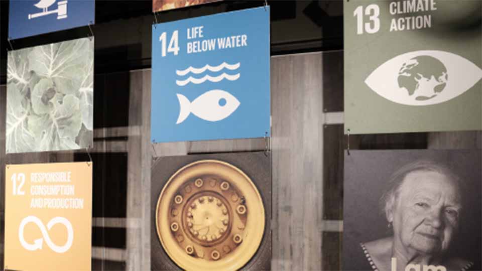 Agenda 2030 and SDGs at the local level—a brief start-up guide