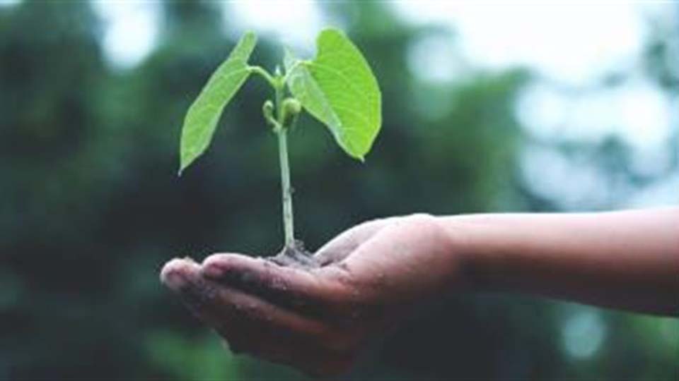 Bæredygtig karrierevejledning og green guidance