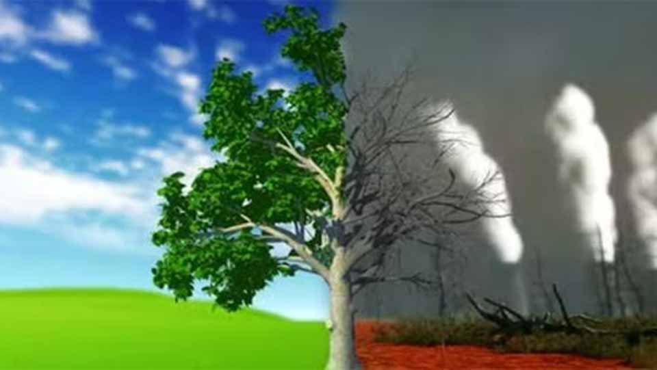 Curriculum Development for Climate Change Education