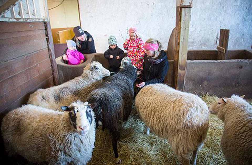 Djurskötsel hör till vardagens många sysslor.