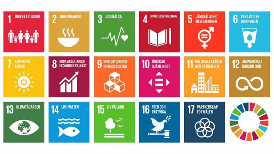 Kunskap om hållbar utveckling