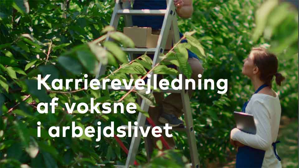 Karrierevejledning af voksne i arbejdslivet