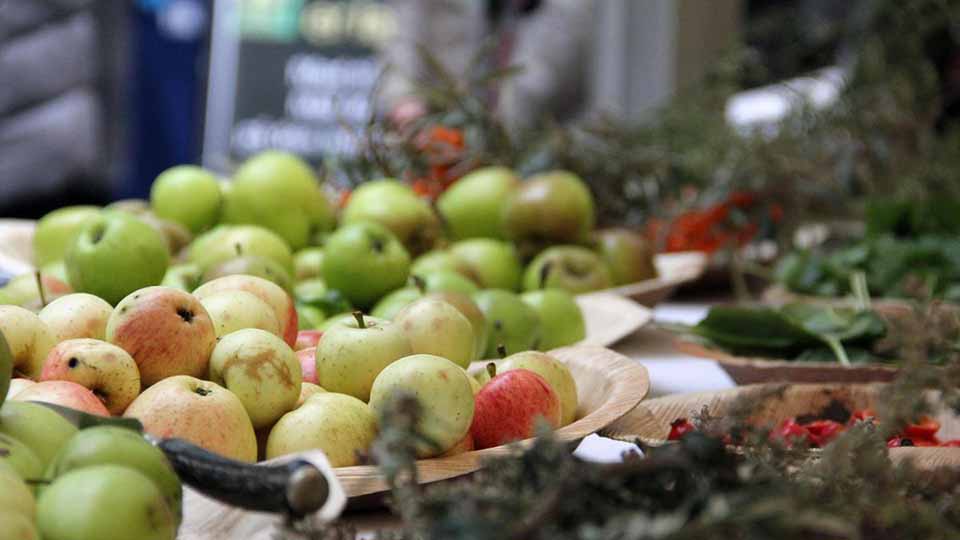 Educational Models for Sustainable Lifestyles