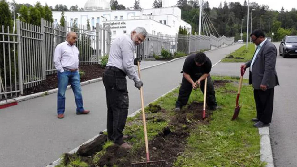 Preparing for pollinator friendly street-garden, Photo: Naturvernforbundet Groruddalen