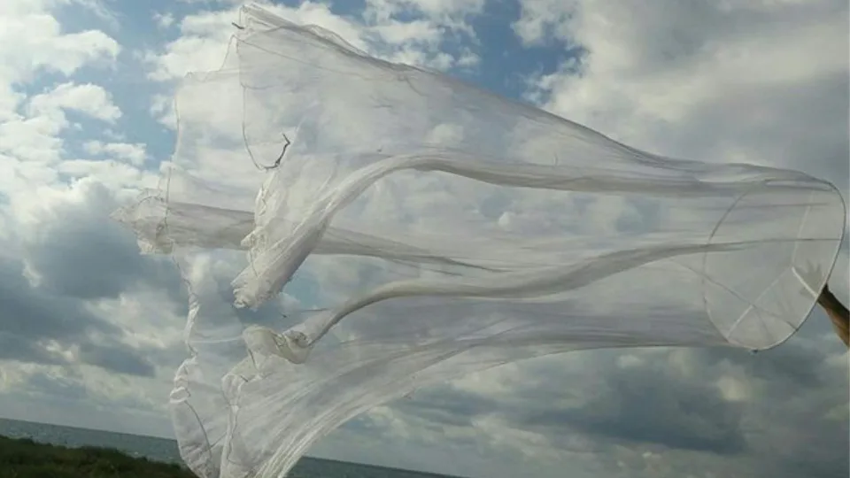 Under the Flying Carpet