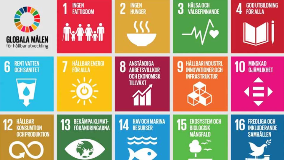 Inspiration for Sustainable Development in Adult Learning