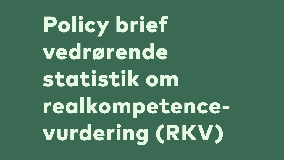 Policy brief vedrørende statistik om realkompetencevurdering (RKV) Policy brief vedrørende statistik om realkompetencevurdering (RKV)