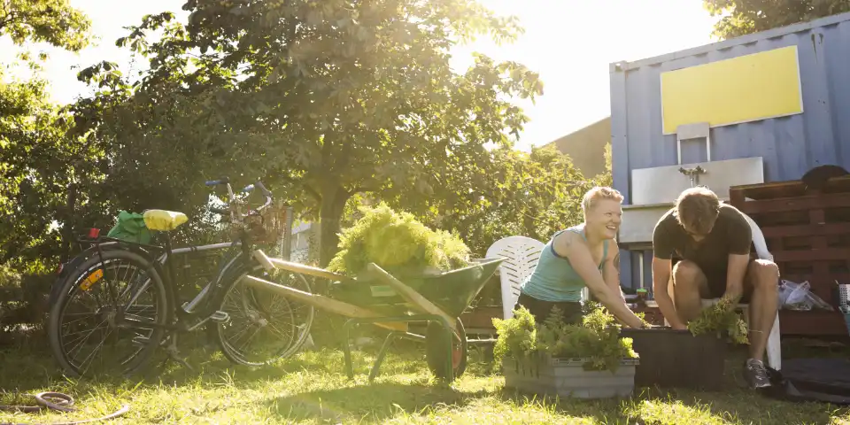 Two people gardening together in urban community garden on a sunny day, with a focus on sustainable living, featuring a bicycle with groceries and a backdrop of lush green trees.