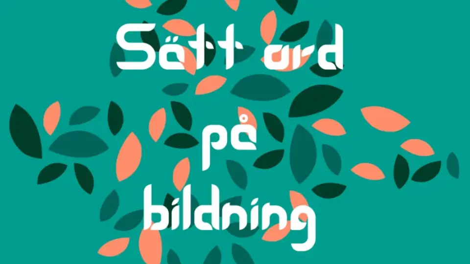 Vi sätter ord på bildning