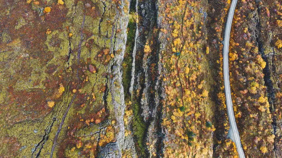 Luftfoto af et landskab med sprækkedannelser og efterårsløv langs en vej.