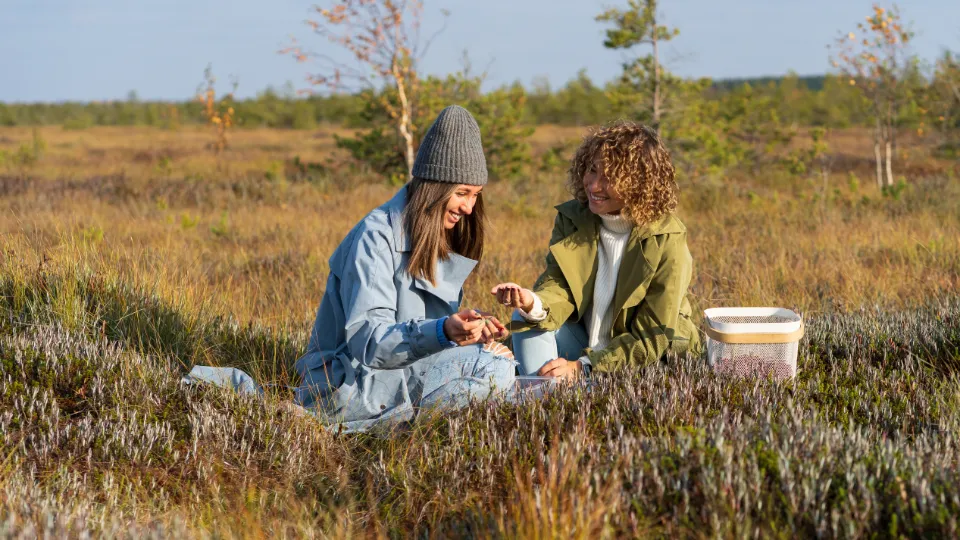 Billedet viser to personer, der sidder ude i en natureng og nyder et øjeblik sammen. De er klædt i afslappet tøj og ser ud til at dele noget, de har fundet, muligvis bær eller urter. I baggrunden er der et åbent landskab med lave buske og træer, typisk for en nordisk natur.