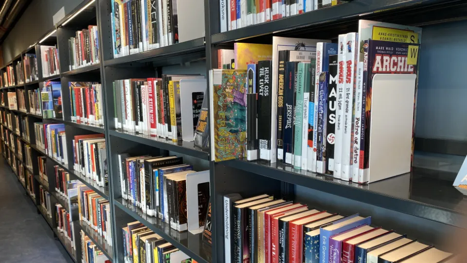 Bokhyller i et bibliotek fylt med et variert utvalg av bøker, inkludert tegneserier, romaner og faglitteratur.