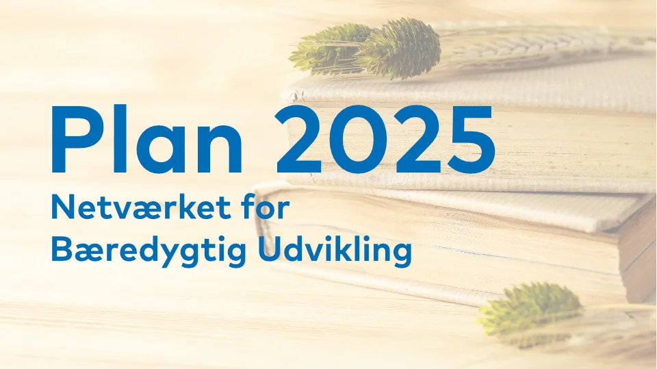 Verksamhetsplan 2024 - Bæredygtig Udvikling