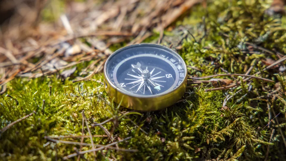 Compass lying on green moss in a forest setting with pine needles scattered around.
