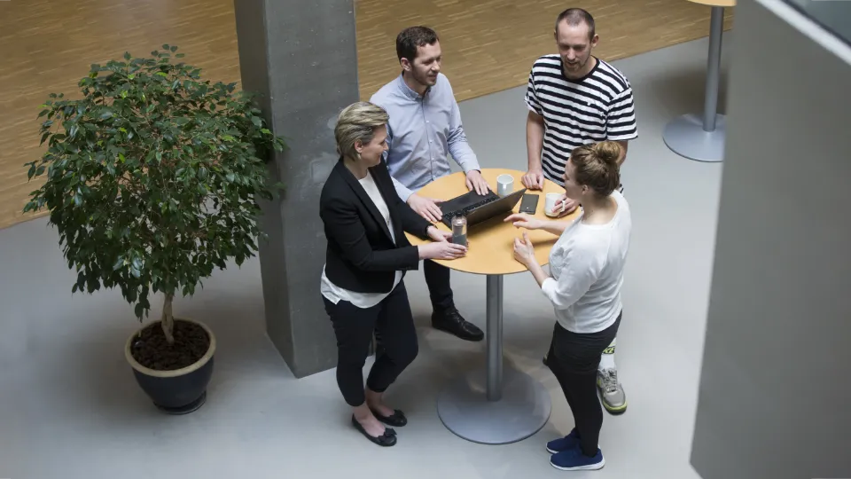 Uddannelse for Bæredygtig Udvikling (UBU) Fire personer står omkring et højt bord i et kontormiljø og diskuterer foran en bærbar computer.