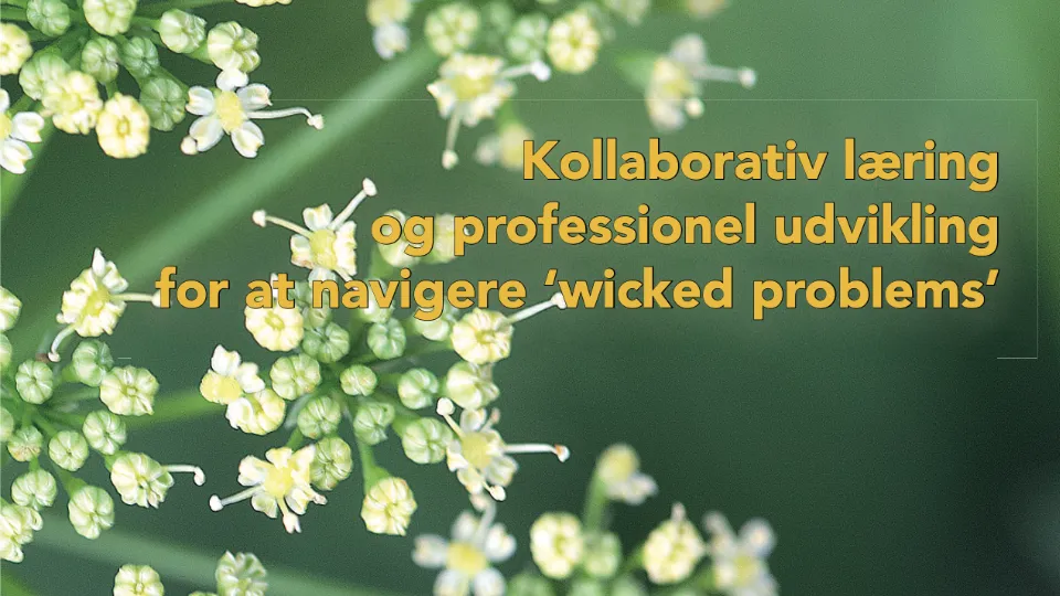 Kollaborativ læring og professionel udvikling og professionel udvikling for at navigere ‘wicked problems’ Nærbillede af små hvide blomster med tekst om kollaborativ læring og professionel udvikling til at navigere komplekse problemer.