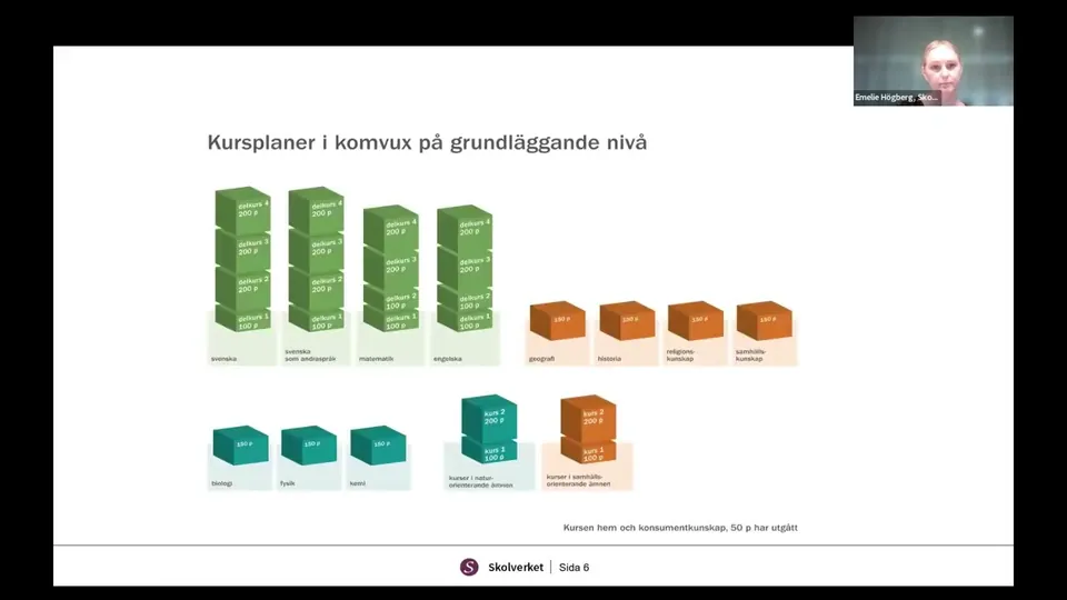 Webbinariebild med presentationsbild: En föreläsare syns i ett litet videofönster ovanför en bild med rubriken ”Kursplaner i komvux på grundläggande nivå”. Diagrammet visar olika ämneskurser som färgade block med angivna poäng.